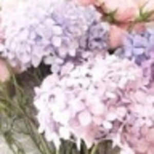 Meet your Posher, Casandra